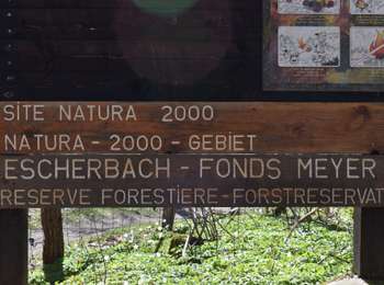 Tocht Stappen Eupen - 20210426 - Membach 9.5 Km - Photo