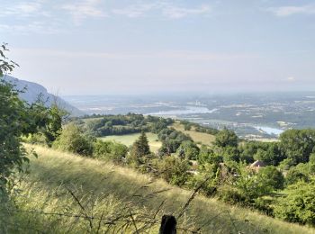 Tocht Stappen Souclin - 01-soudon-cleyzieu-20km825m - Photo