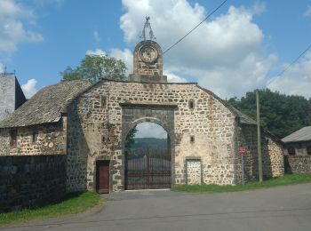 Excursión Senderismo Pontgibaud - Chazaloux - Photo