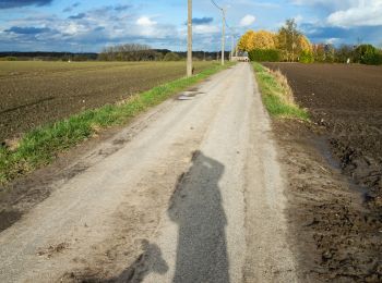 Percorso Marcia Morlanwelz - Morlanwelz - Bellecourt (10km) - Photo