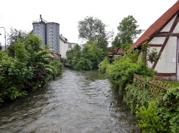 Tocht Te voet Bempflingen - Eduard-Mörike-Weg - Photo