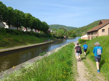 Randonnée Marche Saverne - Saverne et ses châteaux  - Photo