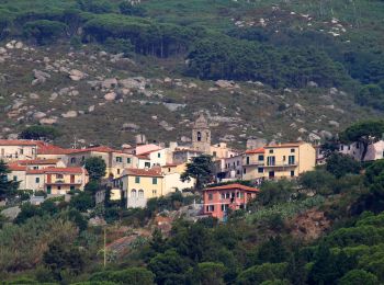 Tocht Te voet Campo nell'Elba - IT-138 - Photo