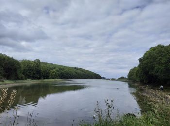 Excursión Senderismo Plouguiel - Autour de la Roche Jaune - Photo