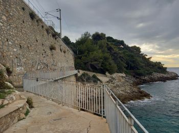 Tocht Stappen Roquebrune-Cap-Martin - Tour du Cap Martin et Château de Roquebrune 13.11.22 - Photo