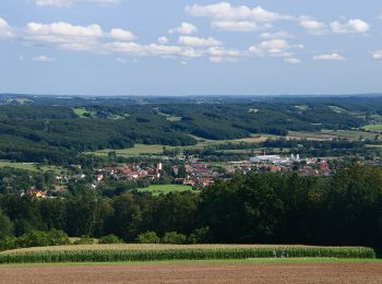 Randonnée A pied Grafendorf bei Hartberg - Wanderweg G3 - Photo