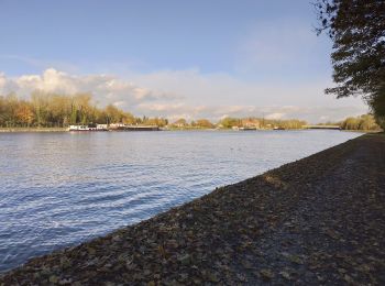 Tocht Stappen Allennes-les-Marais - Allennes les Marais  - Photo