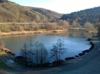 Excursión A pie Bad Münstereifel - EifelSchleife Um den Langen Kopf - Photo