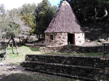 Tour Wandern Gàiru/Gairo - autour du taccu isara - Photo