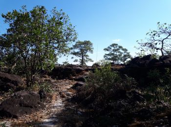 Tocht Stappen  - Le chemin des Bouddhas  - Photo