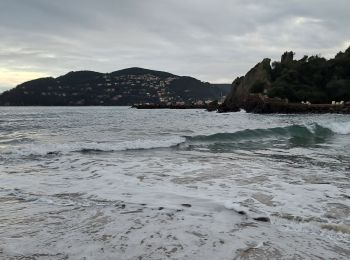 Excursión Senderismo Mandelieu-la-Napoule - châteaux de la Napoule - Photo