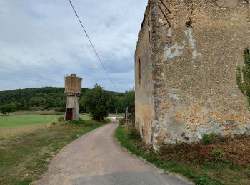 Trail Walking Rosoy - 220913 Rosoy 9,3 km - Photo