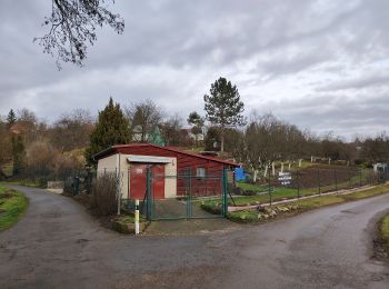 Tour Zu Fuß Ungarisch Brod - NS Havricka - Photo