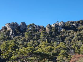 Randonnée Marche Aups - 2023-01-31 Col de la Bigue - Les Eyssariades - Photo