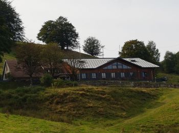 Percorso Marcia Kirchberg - Lachtelweiher - fermes auberges - Photo