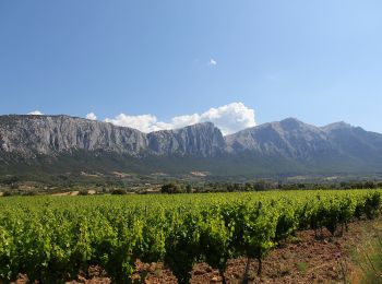 Tour Zu Fuß Durgali/Dorgali - (SI Z14) Sa Barva – Monte Maccione - Photo