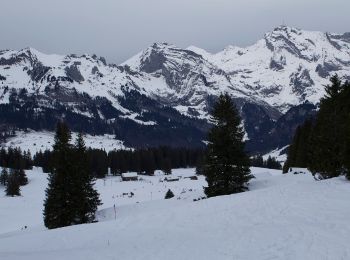 Randonnée A pied Wildhaus-Alt St. Johann - Sagenweg - Photo