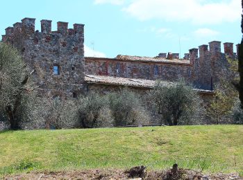 Trail On foot Rapolano Terme - IT-531 - Photo