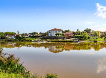 Tocht Stappen Port-de-Lanne - Chateau du Bec de Gave et bords de l'Adour - Photo