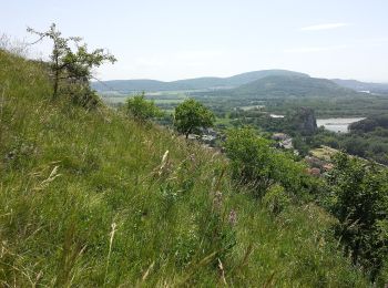 Excursión A pie okres Bratislava IV - Náučný chodník Bratislavské luhy - Photo