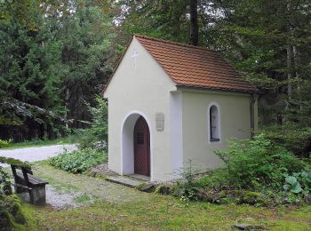 Excursión A pie Neualbenreuth - Neualbenreuth: In einem Tag durch das Fraisch-Gebiet - Photo