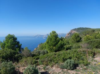 Excursión Senderismo La Ciotat - st fretouse le semaphore belvédère la  route des crêtes  - Photo