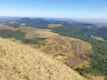 Excursión Senderismo Orcines - Montée au Puy de Dôme par le chemin des Muletiers - Photo