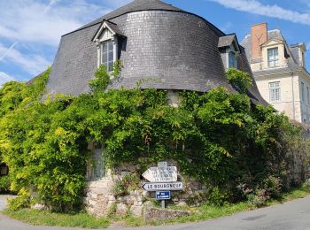 Tocht Hybride fiets Gennes-Val-de-Loire - R- étape 2 - périple de Gennes à Juigné sur Loire - Photo