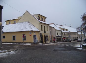 Tour Zu Fuß Eule - [Z] Jílové - Libeř - Photo