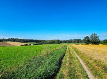 Randonnée Marche Onhaye - Balade de Sommière à Weillen - Photo