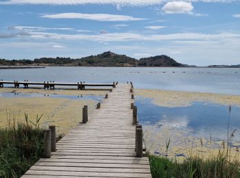 Trail Walking Peyriac-de-Mer - peyriac - Photo