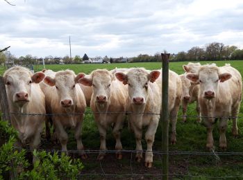 Randonnée Marche nordique Nevers - Nevers alentours  - Photo