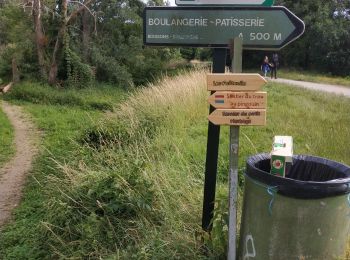 Trail Walking Tavers - Balade Tavers-Beaugency  - Photo