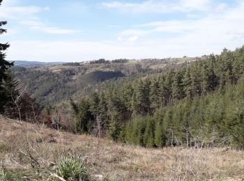 Tocht Stappen Saint-Pierre-du-Champ - ruisseau Besse, st Pierre du Champ - Photo