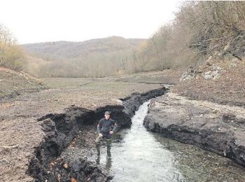 Randonnée A pied Goizueta - SL-NA 121 Urtegiari Bira (Artikutza) - Photo