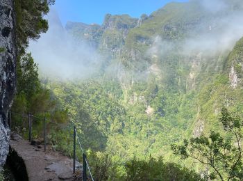 Tocht Stappen Santana - Levada  - Photo
