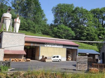 Excursión Senderismo Doucier - Le Moulin du Hérisson - Doucier le long du lac Chambly - Photo