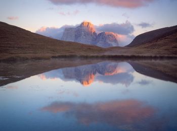 Trail On foot San Vito di Cadore - IT-465 - Photo