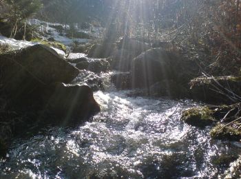 Tocht Te voet okres Spišská Nová Ves - Banícky náučný chodník - Photo