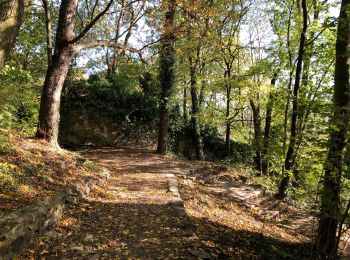 Tocht Stappen Luik - Liege - Photo