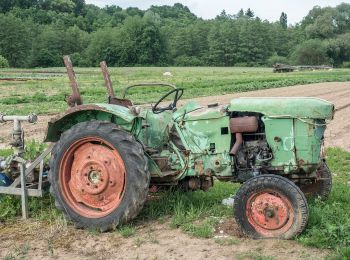 Tocht Te voet Hallstadt - Maus-Wanderweg - Photo