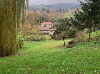 Trail Walking Renaison - Autour de renaison - Photo