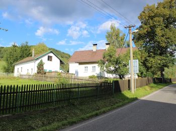 Trail On foot Prysk - Pryskovský okruh - Photo