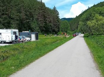 Tocht Te voet okres Ružomberok - Naučný chodník Kalameny - Liptovský hrad - Photo