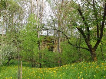 Excursión A pie Weikersheim - Höhenweg Bronn-Honsbronn - Photo