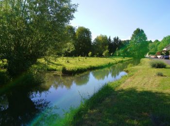 Randonnée Marche Saint-Antoine-du-Rocher - Saint-Antoine-du-Rocher - circuit 2 - 9.2km 95m 2h05 - 2019 06 18 - Photo