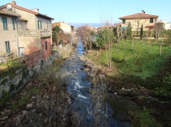 Trail On foot Montevarchi - sent. 41 - Photo