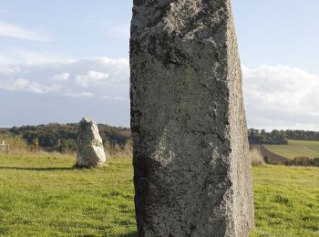 Tour Zu Fuß Le Sel-de-Bretagne - Chemin de la Vallée - Photo