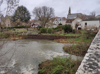 Percorso Marcia Candé-sur-Beuvron - reconnaissance BBR aux Allees - Photo