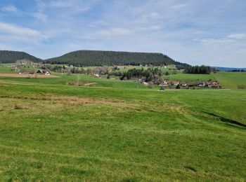 Tocht Stappen Lauterbach - Kappelehof - Photo